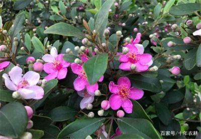 专业木工装修木工吊顶石膏线按装开空调孔