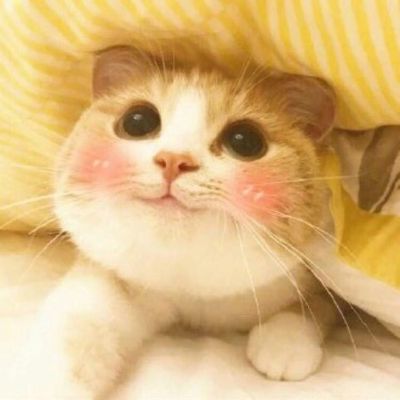 拆简易衣柜