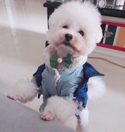 装修