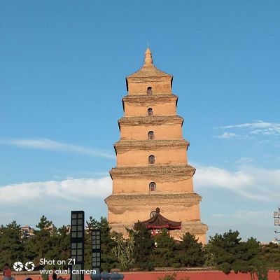 广告