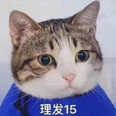 建筑木工