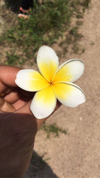 水电安装维修