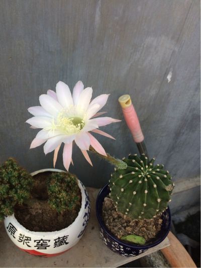 木门安装木门安装橱柜安装