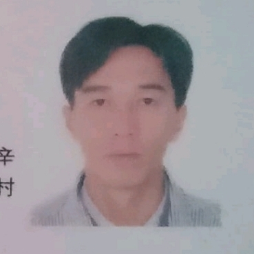 法人