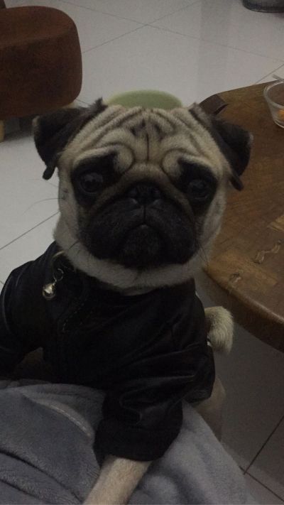 建筑景观设计