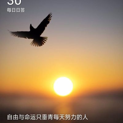 开车