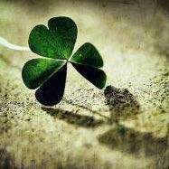 计算机网络电脑维修维护电脑网络维护