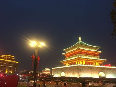 喜智泊