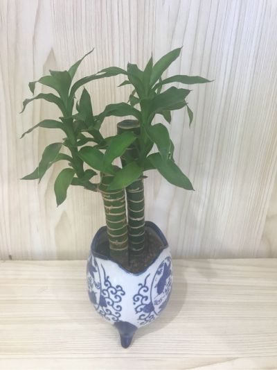 安装水电工