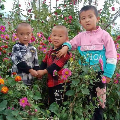 万能专业劳力