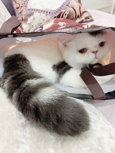无