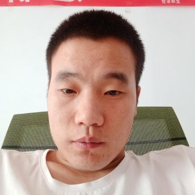 汽车电子