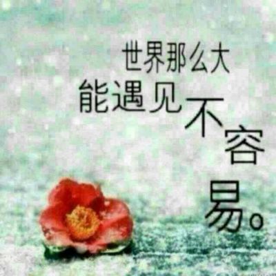 安装