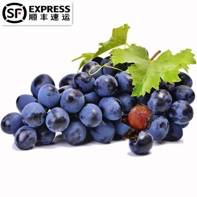 样板间，装修快