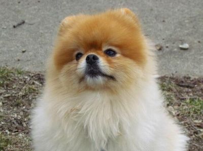 贴砖专业贴瓷砖