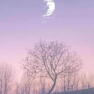 没有