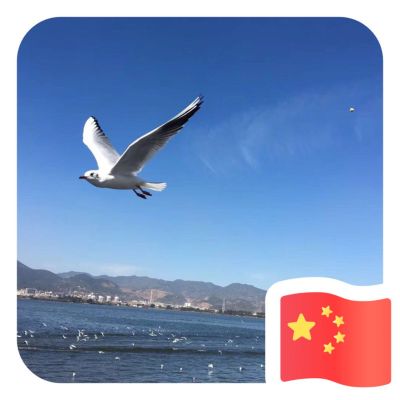 净水安装维修
