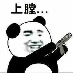 你不管