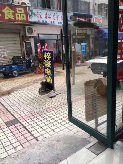 电脑监控网络电脑网络监控