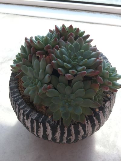 吸顶灯