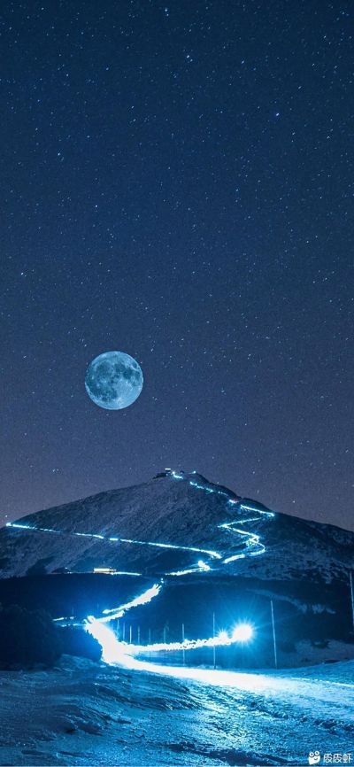 没专业