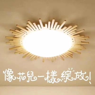 专业安装灯具各种非标灯