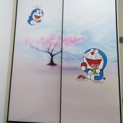 专业家装