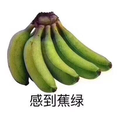 餐饮咖啡奶茶