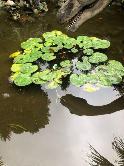 传媒