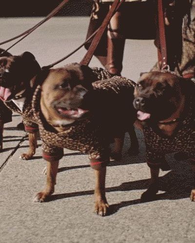 两套别墅房子的窗帘安装服务，需要上面测量