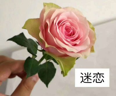 设计