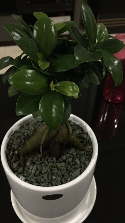 木工