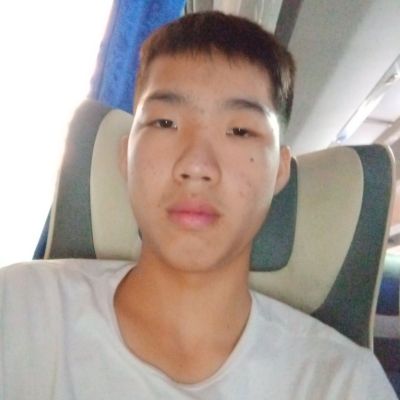 安装墙纸