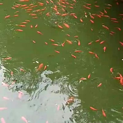 兼职