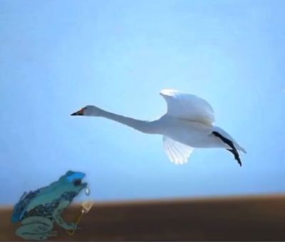 测量