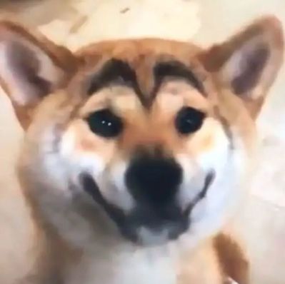 无