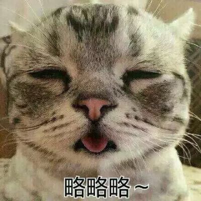 手机兼职