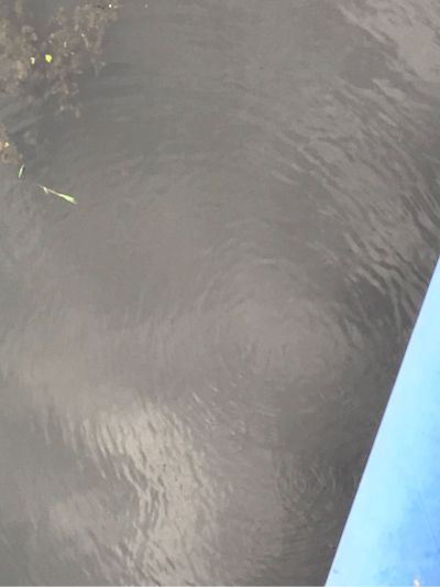 水电安装水电安装