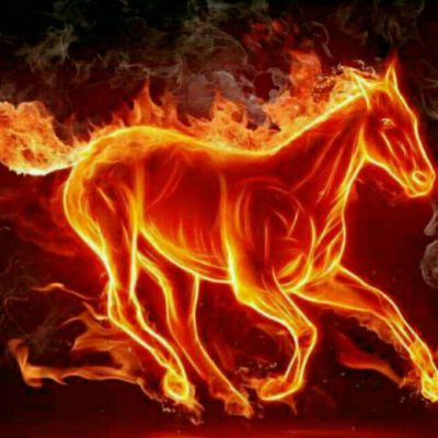 机工水电工家政