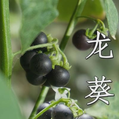 商家