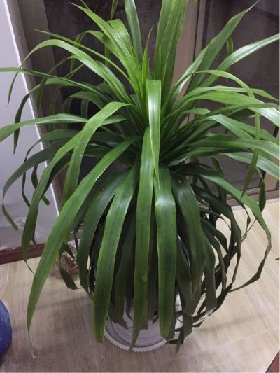 水电装修钻孔水电钻孔清洗