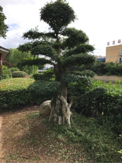室内装饰铝合金门窗电工门头招牌