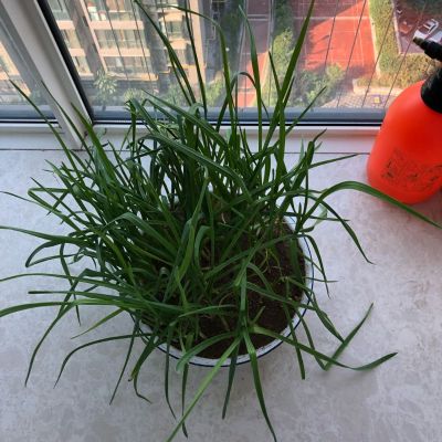 水电安装维修