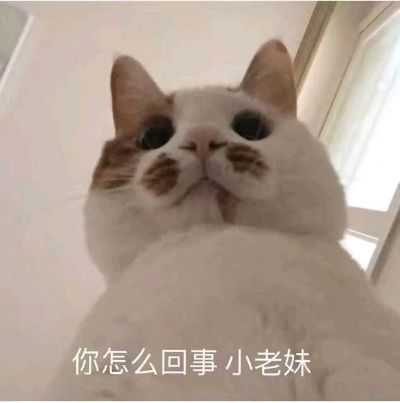 装修