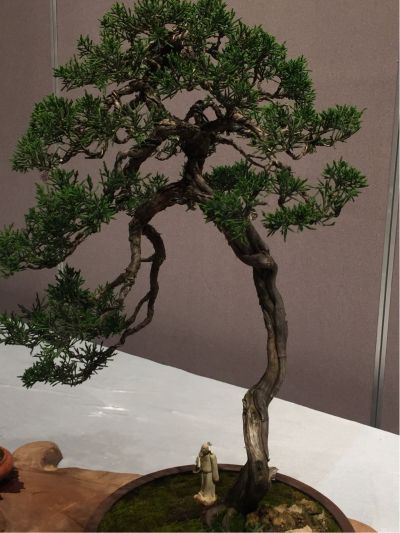 专业家装维修