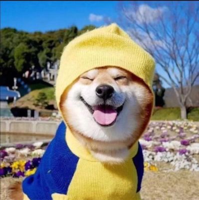 市政