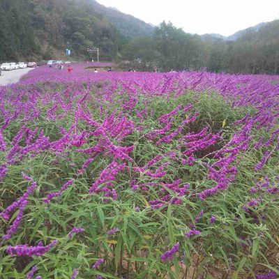 修饰装修木工