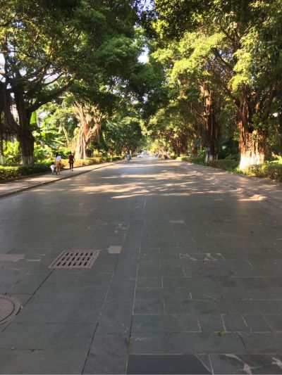 扇灰