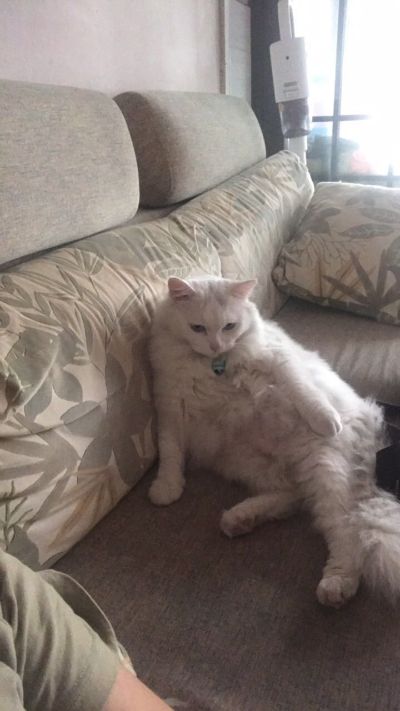 复印机