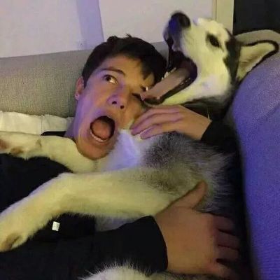 接单